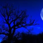 آیا ماه روی رفتار انسان تأثیر می گذارد؟
