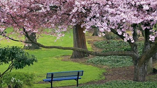 عکسهای زیبا از طبیعت بهار