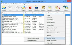 نرم افزار Internet Download Manager 6.30.6