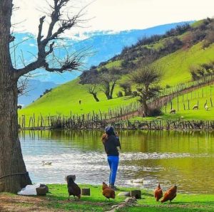 مکانهای زیبا از بندر مقام تا استخرگاه