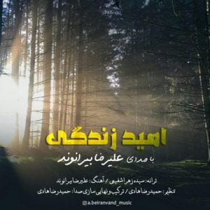 آهنگ امید زندگی از علیرضا بیرانوند