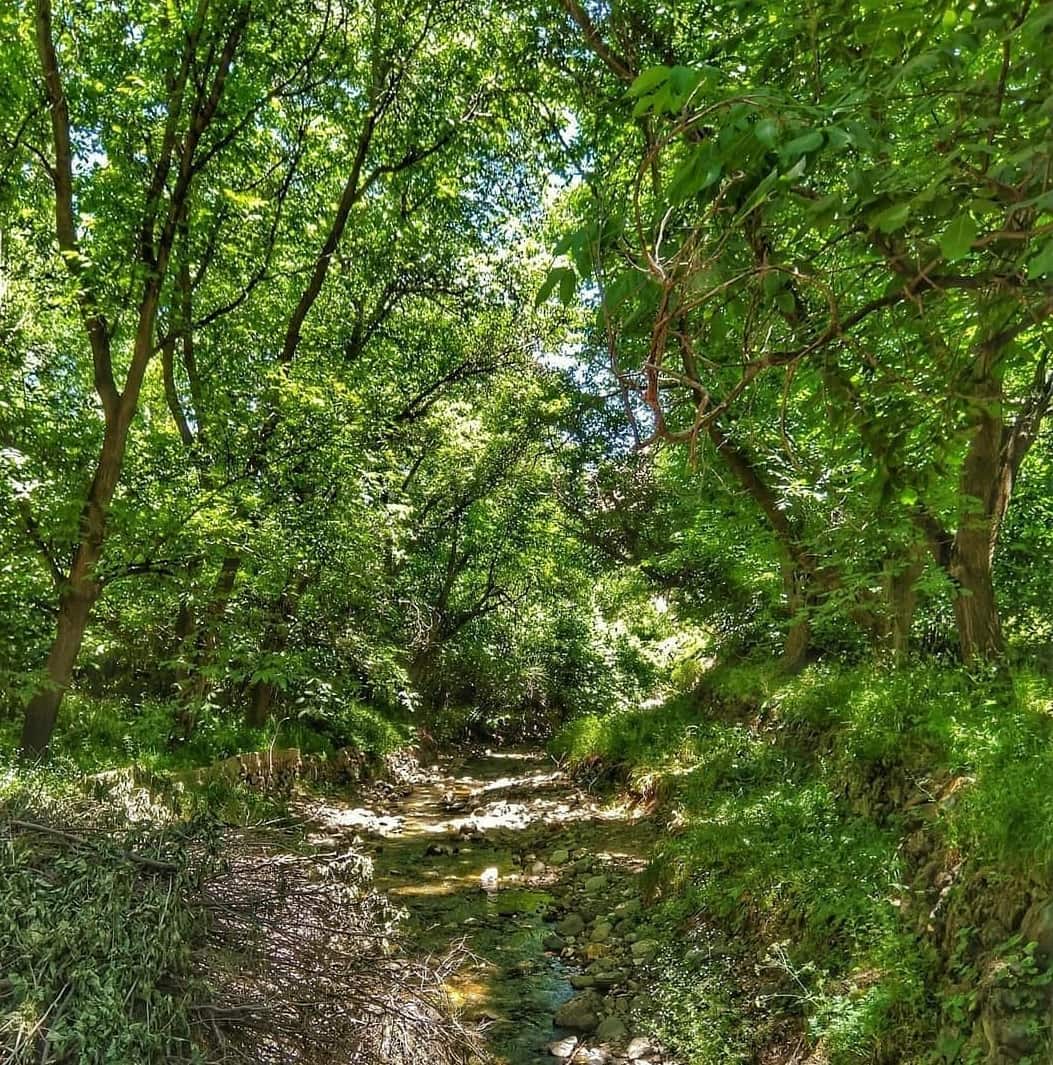 سفری به روستای کهندان قم