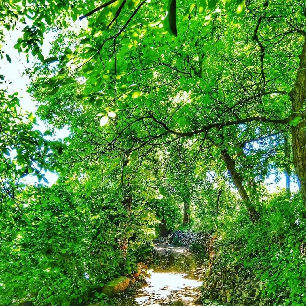 سفری به روستای کهندان قم