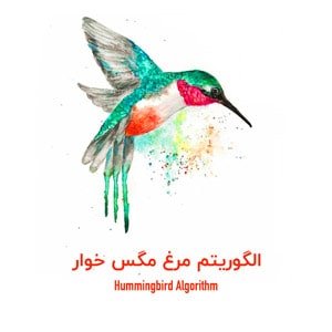 10 الگوریتم مهم موتور جستجوی گوگل