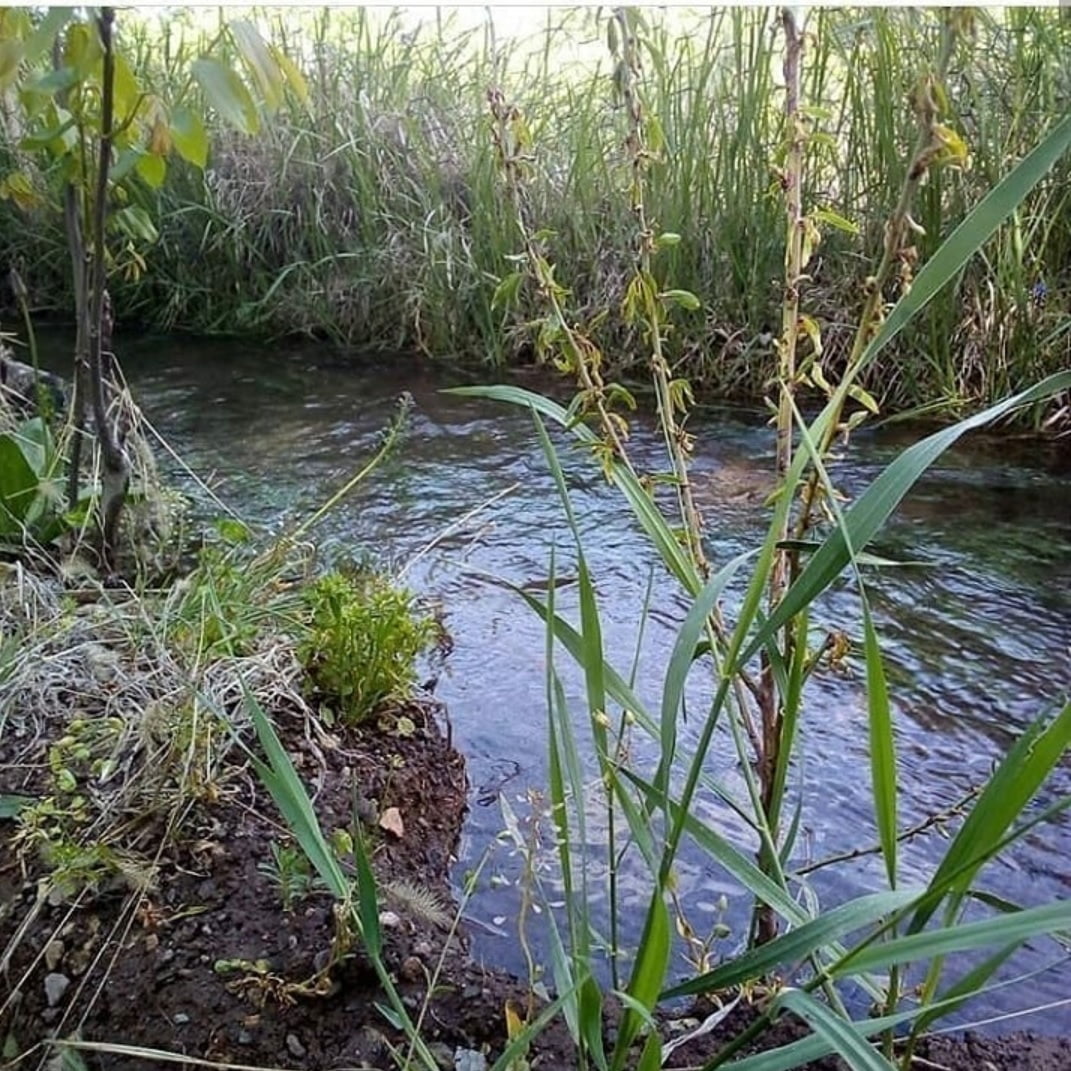 روستای دیدنی و زیبای وشنوه