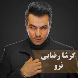 دانلود آهنگ نرو از گرشا رضایی