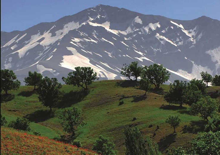 آشنایی با بام ایران