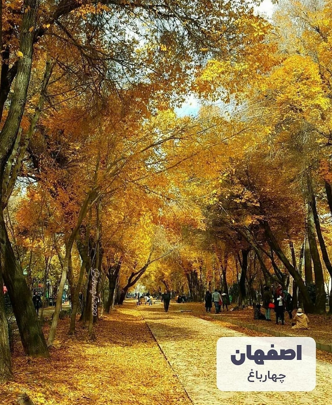 لوکیشن پاییزی برای عکاسی