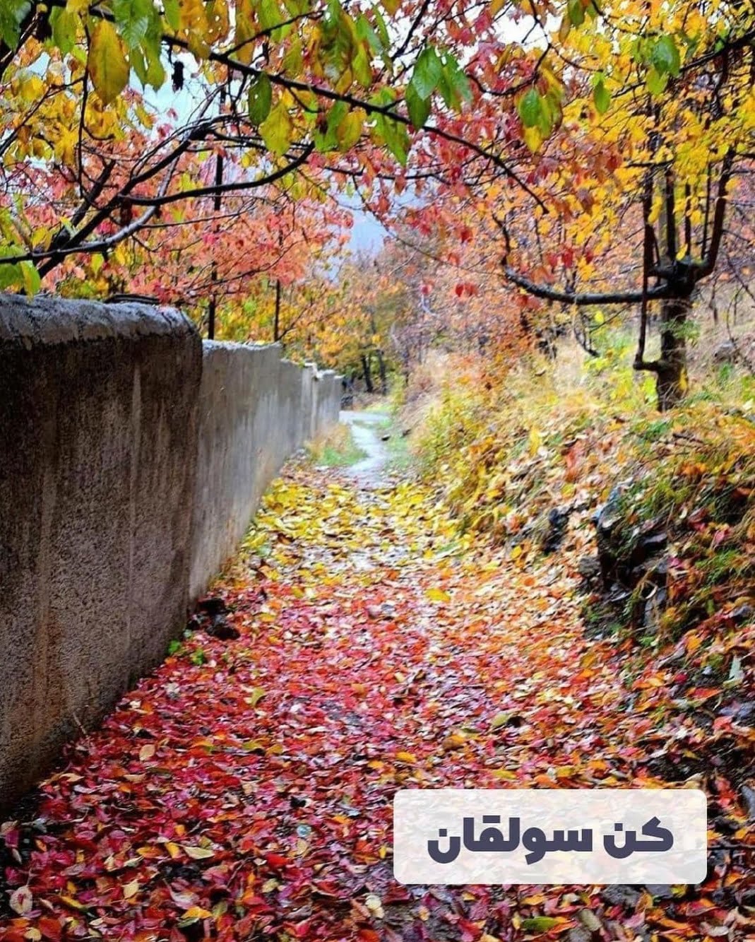 آشنایی با روستاهای تهران