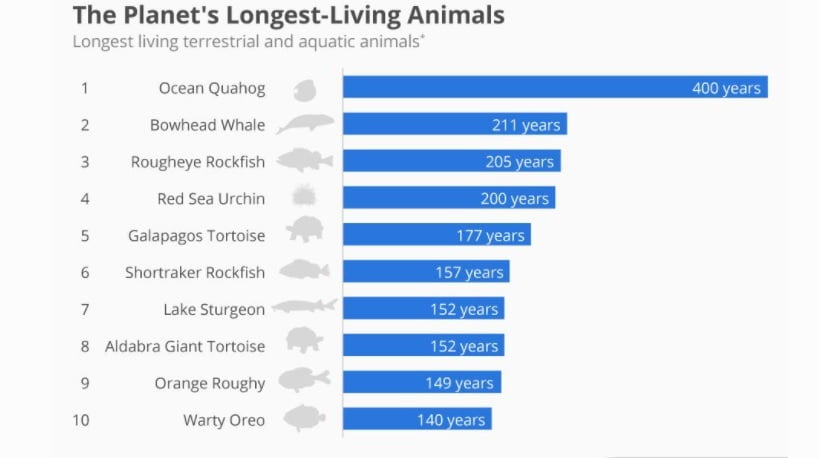 حیوانات به ترتیب طول عمر بیشتر