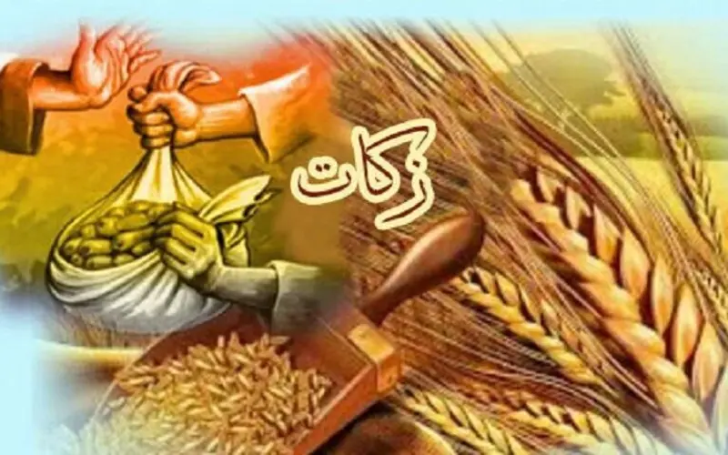 زکات چیست؟ احکام، انواع و فواید پرداخت زکات در اسلام زکات چیست؟ احکام، انواع و فواید پرداخت زکات در اسلام