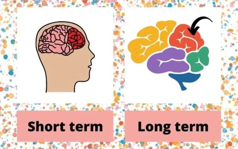 همه چیز درباره حافظه: از کوتاهمدت تا بلندمدت همه چیز درباره حافظه: از کوتاهمدت تا بلندمدت