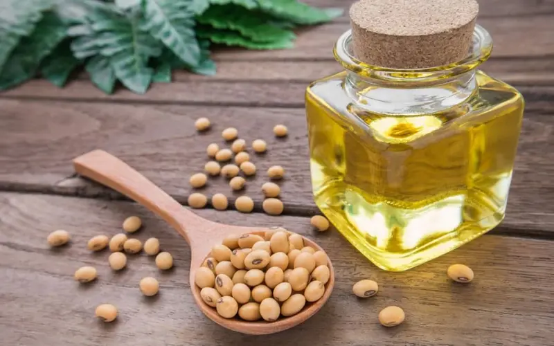 سویا و روغن سویا: حقایق، فواید و مضرات این ماده غذایی پرکاربرد سویا و روغن سویا: حقایق، فواید و مضرات این ماده غذایی پرکاربرد