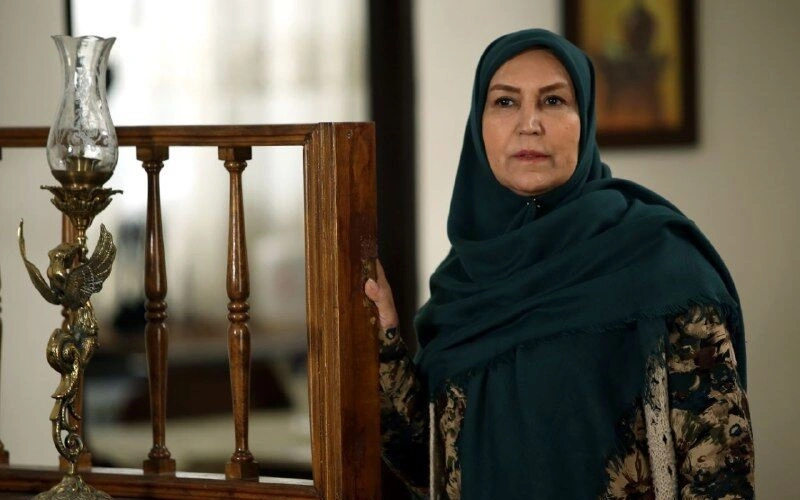 بیوگرافی مهوش صبرکن؛ از تئاتر تا «پس از باران» بیوگرافی مهوش صبرکن؛ از تئاتر تا «پس از باران»