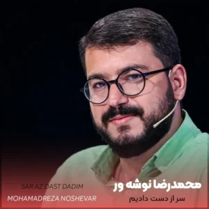 دانلود مداحی زیبای سر از دست دادیم با صدای محمدرضا نوشه ور
